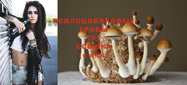 дурь Алексеевка