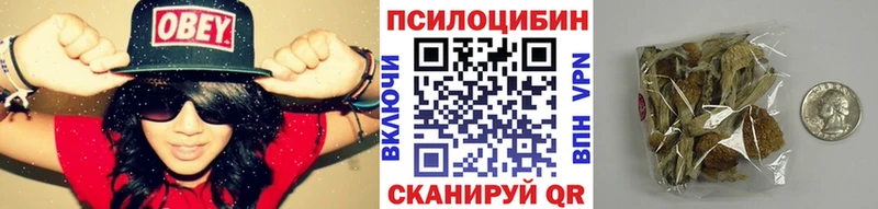 наркота Закаменск кракен рабочий сайт Псилоцибиновые грибы прущие грибы